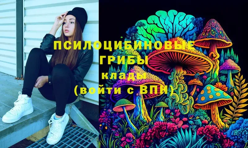 OMG как войти  Кирово-Чепецк  Псилоцибиновые грибы прущие грибы 